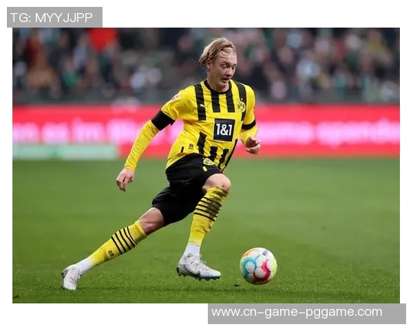 布兰特:我不是21了,需考虑未来;世界杯?我现在专心于多特 布兰特:我不是21了,需考虑未来;世界杯?我现在专心于多特